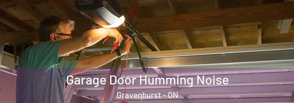 Garage Door Humming Noise Gravenhurst - ON