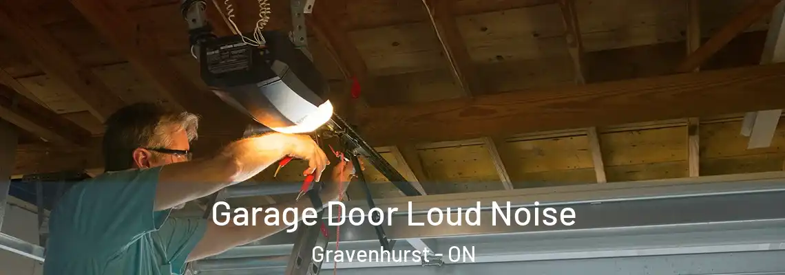 Garage Door Loud Noise Gravenhurst - ON