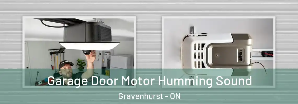 Garage Door Motor Humming Sound Gravenhurst - ON
