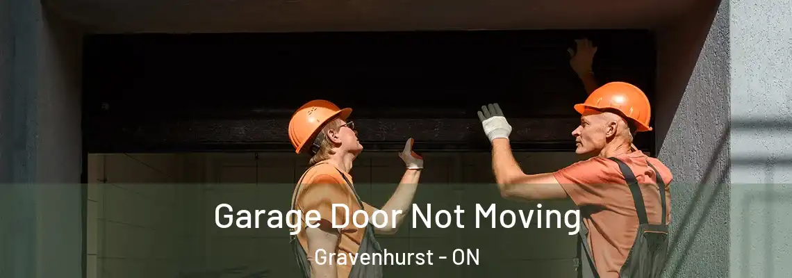 Garage Door Not Moving Gravenhurst - ON