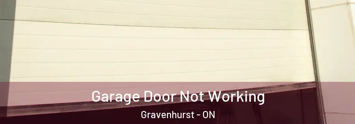 Garage Door Not Working Gravenhurst - ON
