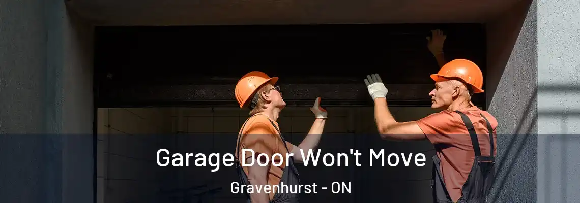 Garage Door Won't Move Gravenhurst - ON